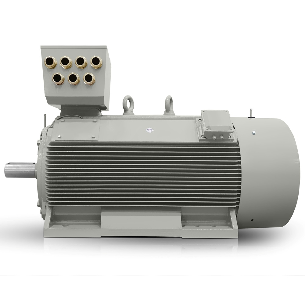 Elektromotor met lage spanning 450kW H17RL IE3 400V/690V 1500 tpm Verkoop